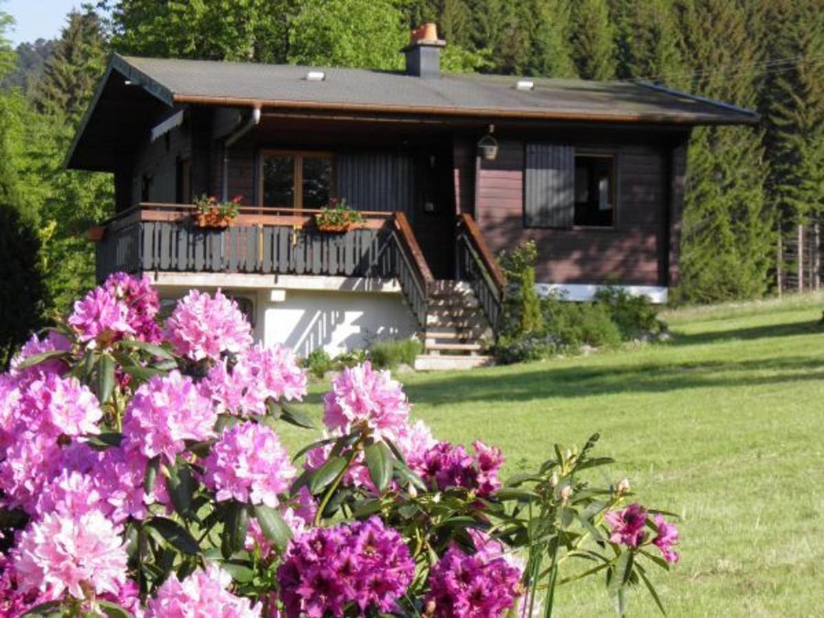 Chalet Renove Proche Du Valtin - Ideal Pour Famille, Randonnees Et Ski, Wifi, Luges Fournies - Fr-1-589-150 Ban-sur-Meurthe-Clefcy المظهر الخارجي الصورة
